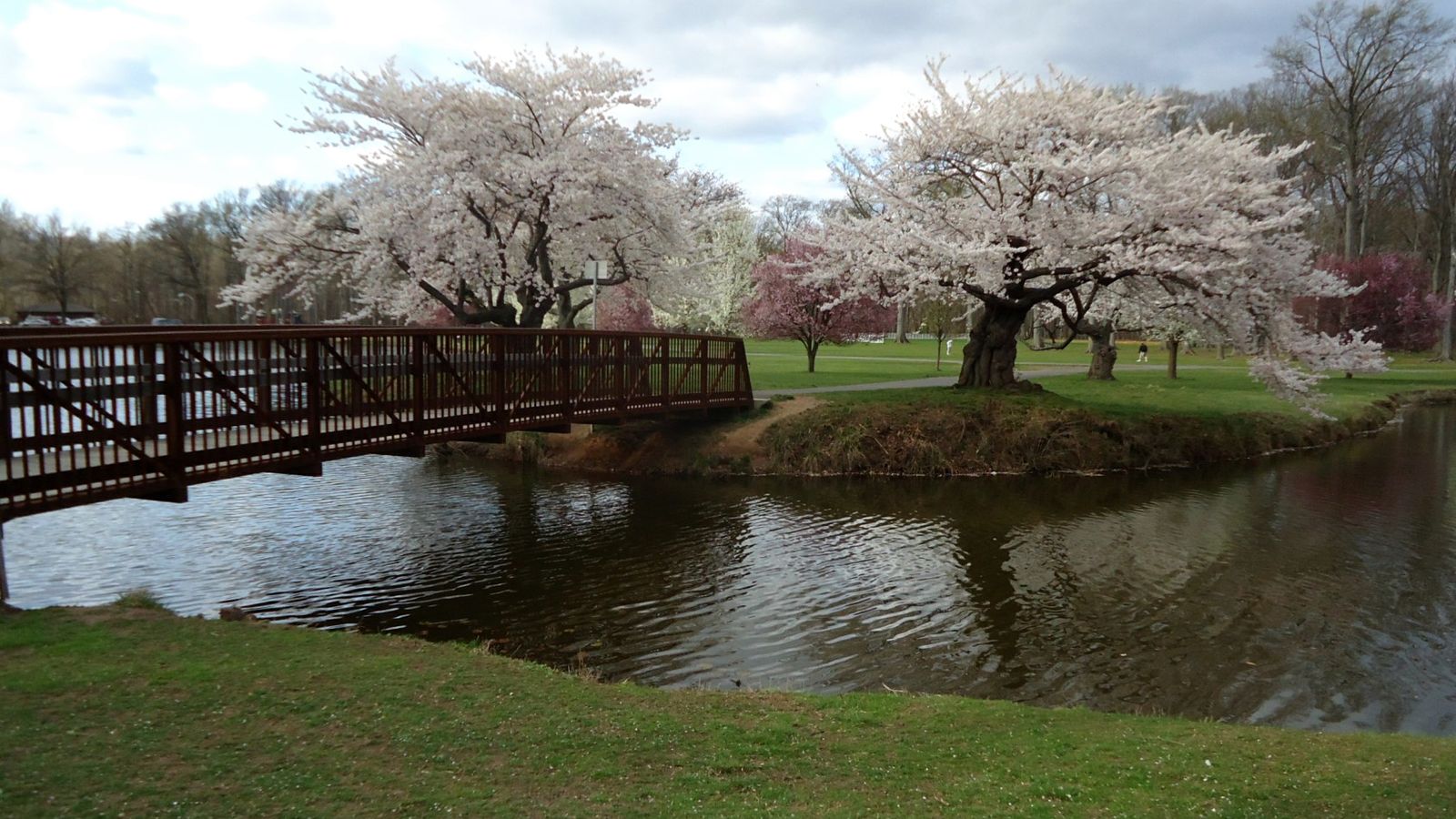 Nomahegan Park, Cranford NJ